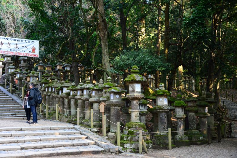 đền Kasuga đền Kasuga